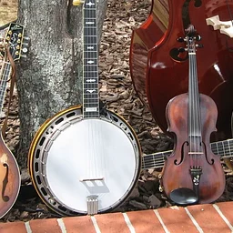 Bluegrass Jam