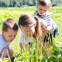 Little Farmers (Sundays)