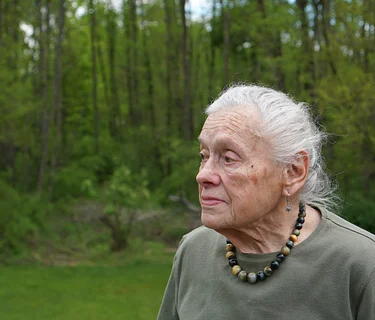 Helpful Neighbors by Robert Lyons