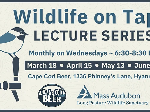 Wildlife on Tap Lecture Series with Mass Audubon
