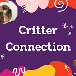Critter Connection