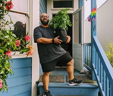 Growing Cannabis in Your Garden