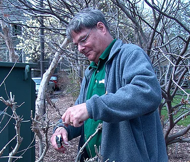 Specialty Pruning Workshop: Hydrangeas & Roses