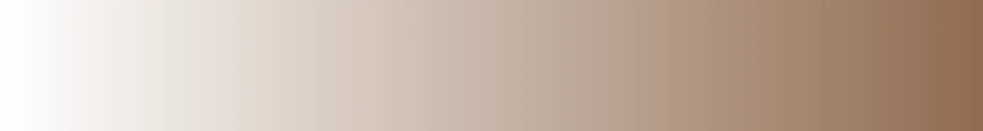 Roots 101 African American Museum