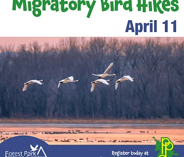 Migratory Bird Hike