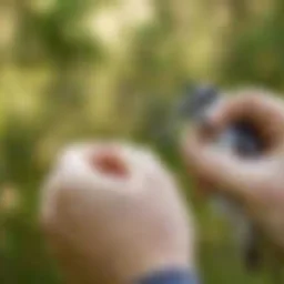 Bird Banding Demonstration