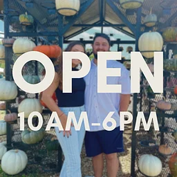 Fall Festival {ticketed, family-friendly}