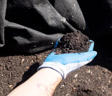 Compost Advocacy & Community-Building (Master Composter Course)