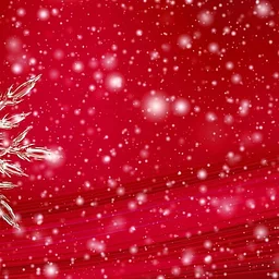 Member Holiday Gathering