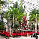 All Aboard…for the Holidays