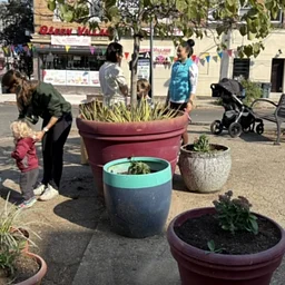 Love Your Park: Bainbridge Green
