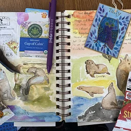 Junk Journal Club