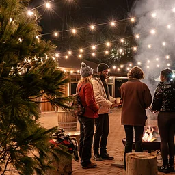 Holiday Nights