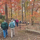 Nature Ramblers
