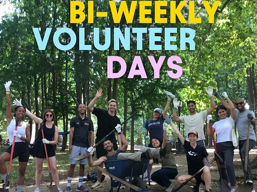 Bi-Weekly Volunteer Days