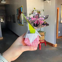 Sip & Fold with Holly!