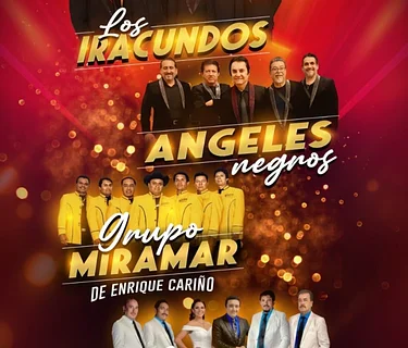 LOS IRACUNDOS, ANGELES NEGROS, GROPO MIRALMAR DE ENRIQUE CARIÑO, LOS TERRICOLAS DE HOY