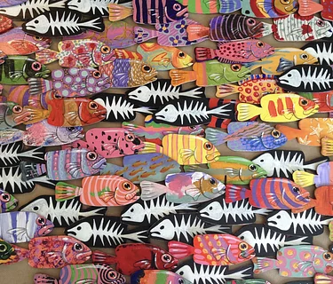 SOLIDARITY FISH WORKSHOP at coastal studies