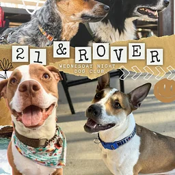 21 and Rover