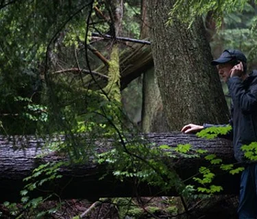 Nature Amplified: The Secret Sounds of Trees