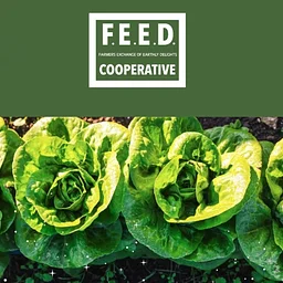 FEED Bin Pickup at Copperfield’s Books