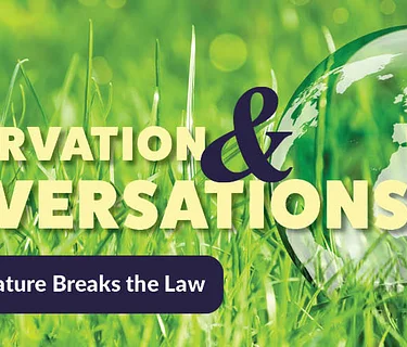 Conservation and Conversations: Fuzz (In Person)