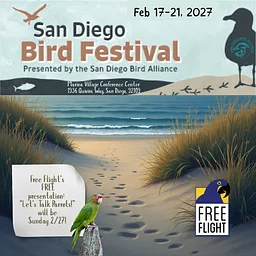 San Diego Bird Festival 2027