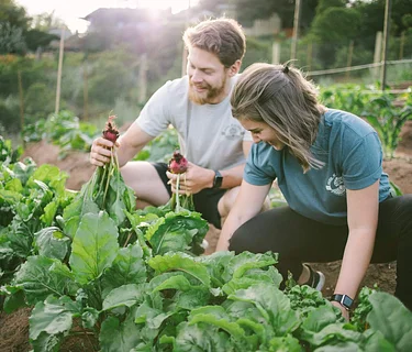 Farm School Summer Semester