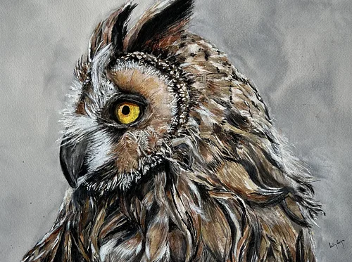 Bon Air Artists Association Annual Juried Members Show