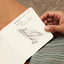 Nature Arts for Health: Nature Journal Making