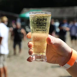 Hops and Crops Music and Beer Festival