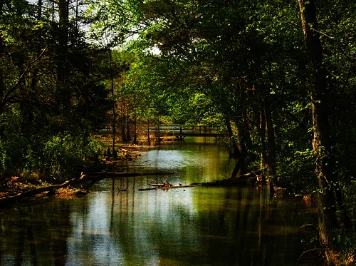 Nature(+) Solstice Inspired Poetry