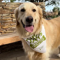 VIP Pup Club Pass