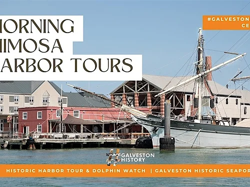 Morning Mimosa Harbor Tours
