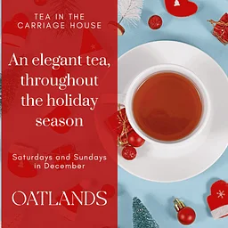 Holiday Tea – Dec 12