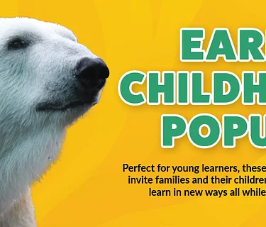 Early Childhood Pop-Up: Young Zoologist