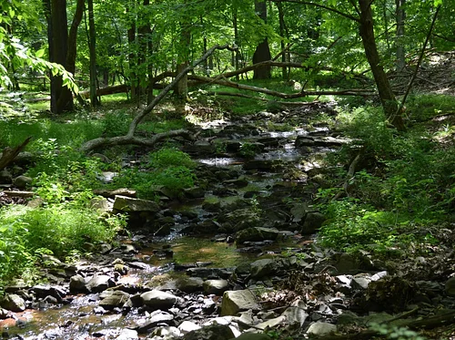 Membership Appreciation #1: Spring Discovery Walk