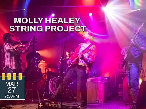 Molly Healey String Project