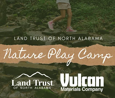 Nature Play Camp 2026