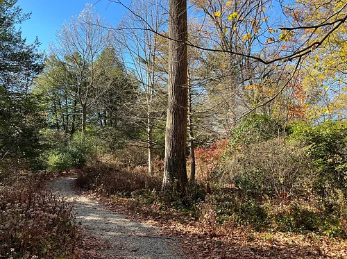 Trail Hike with the Chester County Trail Club
