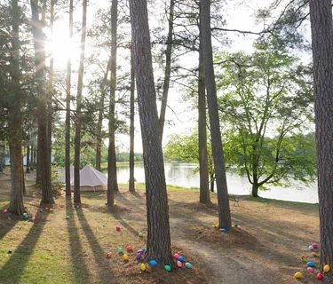 Trying to Adult RVA Easter Egg Hunt