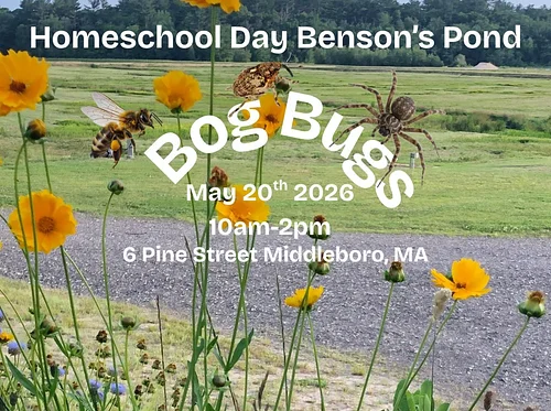 Homeschool Bog Bug Day (Middleborough)