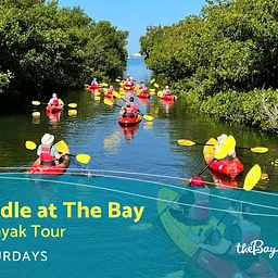 Ride and Paddle at The Bay (Guided Kayak Tour)