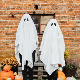 Spirits!
