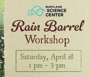 Rain Barrel Workshop