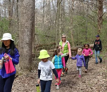 Forest Homeschool Hike