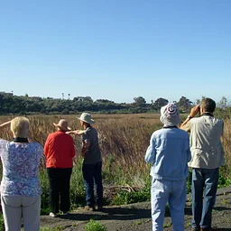 BIRDING WITH BARBARA