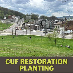 CUF Restoration Planting