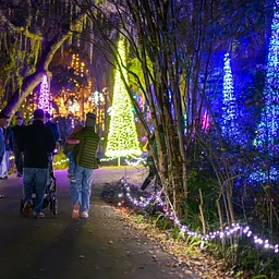Glowing Gardens