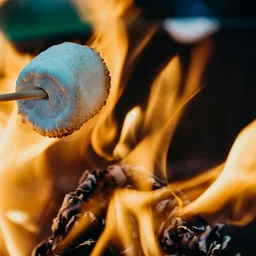 S'mores & Campfire Night